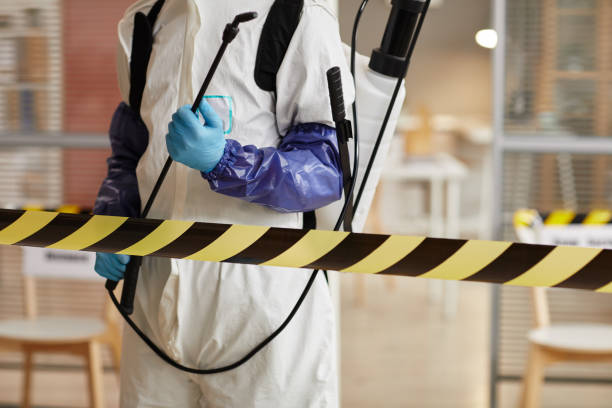 Professional Sewage Cleanup technician working in Littleton, NH